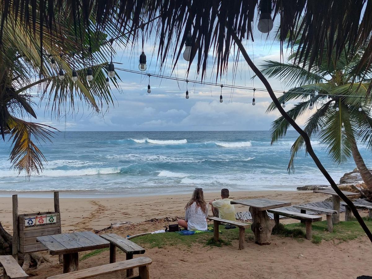 Cabarete Maravilla Eco Lodge Boutique Beach Surf Encuentro, Kite, By Aa Crypto Group Экстерьер фото