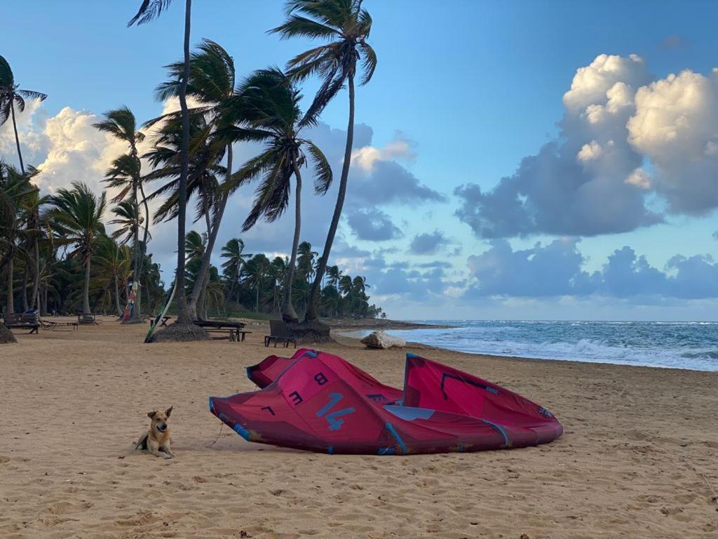 Cabarete Maravilla Eco Lodge Boutique Beach Surf Encuentro, Kite, By Aa Crypto Group Экстерьер фото