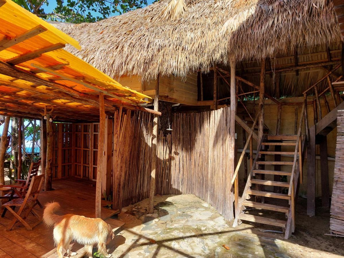 Cabarete Maravilla Eco Lodge Boutique Beach Surf Encuentro, Kite, By Aa Crypto Group Экстерьер фото